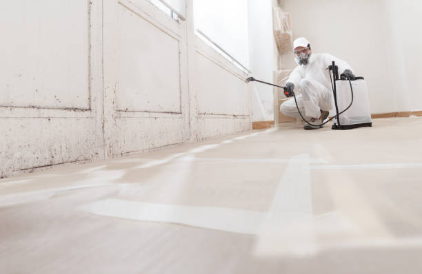 Black mold remediation team in Savage